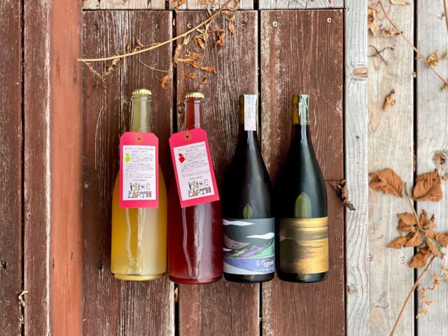 山梨のDomaine Hideから新しいワインが届きました❣️

🍇 Art Label / アートラベル2022
香雨上がりの落ち葉など複雑な香りが醸し出す、まさに大人のマスカット・ベーリーAを味わえます。繊細でチャーミングな果実味とフレッシュな酸を中心に心地よい苦味が秋の夜長のお供にぴったりです。

🍇 Vegan / ヴィーガン2022
カシス、柑橘、赤スグリの香りの後に果熟香。ゆるやかな酸の奥にスパイシーさが残ります。

🍇 Piquette Blanc / 白ピケット 2022
🍇 Aka Piquette / 赤ピケット2022 赤にごり泡
ワインの搾りかすや、間引きするぶどうに水を加えて造られた、ぶどう農家に代々伝わる伝統的な飲み物です。
低アルコールでビールのようにごくごくと飲みます。すっきりとした味わいで仕事の終わりやお風呂上りなんかに是非！

店頭&オンラインショップにて本日から販売中です！
お気軽にお問い合わせ下さい🥂

#🍇jp
#ドメーヌヒデ
#domainehide 
#自然派ワイン 
#自然派ワインのお店 
#自然派ワインショップVinograd 
#vinograd 
#vinogradjp 
#naturalwine 
#vinnature 
#wine
#ワイン好きな人と繋がりたい
#亀岡市