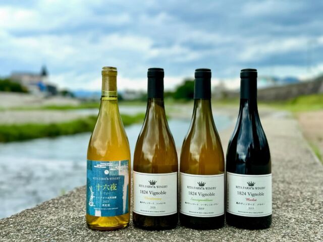 北海道のリタファーム&ワイナリーから新しいワインが入荷しました！

🍇十六夜 ナイアガラ自然発酵 2023
余市産ナイアガラを野生酵母でゆっくりと自然発酵させた身体になじむ優しいワインです。
ナイアガラ特有の芳醇な香りと冷涼地ならではのフレッシュな酸をお楽しみ下さい。

さらに弊社の倉庫で寝かせていた風のヴィンヤードも解禁いたします！
数量が少ない為、お早めにお問合せください<(_ _)>
※風のヴィンヤードシリーズはお一人様1本までの販売となります※

🍇風のヴィンヤード／シャルドネ　2020
自社畑の北西に広がるシャルドネ区画、ホールパンチで搾汁後、ステンレスタンクで発酵し、グラヴィティーフローで瓶詰めされました。
柑橘系の香りに香ばしい余韻、ふっくらとした果実味と綺麗な酸をお楽しみ下さい。

🍇風のヴィンヤード／ソーヴィニヨンブラン　2019
自社畑の北西区画のソーヴィニヨンブランをステンレスタンクで発酵後、約２ヶ月間のシュールリーを経て瓶詰め。
バトナージュを伴うため稀に少しピリッとする口当たりがあることがあります。

🍇風のヴィンヤード／メルロー　2019
自社畑「風のヴィンヤード」の南斜面で健全に育ったメルローを全房で仕込みました。
野生のカシスやブラックベリー系の香り、程よい果実味と酸、タンニンが融合したフレッシュさを感じさせる柔らかな飲み心地です。

海からの南風が吹き抜けるため「風のヴィンヤード」と名付づけられたシリーズ。
満を持してのリリースです。

#🍇jp
#vinogradjp
#ritafarmandwinery 
#日本ワイン
#ナチュラルワイン
#vinnature 
#kyoto 
📷ロケ地: #kamogawa