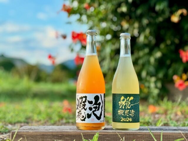 夏にピッタリ、爽やかなペティアン（微発泡）が余市から入荷しました！毎年楽しみなキュベです。

🍇蝦夷泡2024
今年で7代目のヴィンテージとなる人気シリーズの蝦夷泡。2024年は特に生食用品種、ヴィニフェラ品種共にグレーとヴィンテージに値する品質だったそうです！今年の蝦夷泡は抜栓直後は青リンゴのような爽やかな香り、アフターからピリッとしたスパイスの香りや桃、ナイアガラの華やかな香りが立ち上がります。暑い夏にピッタリの爽やかでスッキリとした味わいをお楽しみください。

🍇蝦夷泡P 2023
こちらは昨年冬に入荷したワインですが、夏の暑さも吹き飛ぶドライな味わい。余市・仁木町産ポートランドを使用したペティアンです。色もベッコウ色、香りも甘やかで可愛い印象ですが味わいはキリッとしています！

店頭、オンラインショップで販売中です！
オンラインショップはプロフィールのリンクからどうぞ☝️

📷ロケ地: #kameoka 

#🍇jp
#vinogradjp
#自然派ワイン
#日本ワイン
#ナチュラルワイン
#vinnature 
#wineforsummer
#kyoto 
#ezoawa
@dom.ichi